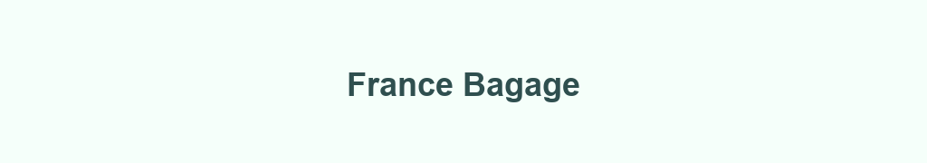 Banniere grossistes-france-bagagehtml
