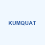 grossistes-kumquathtml Logo
